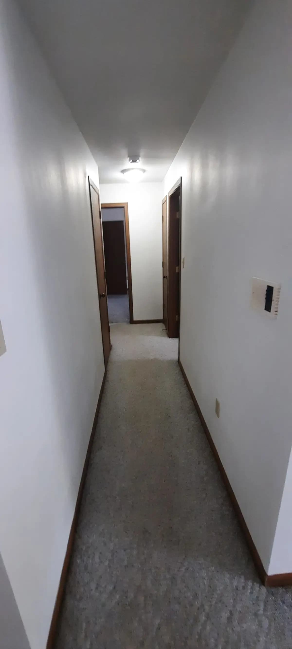 Milwaukee apartments for rent - image - 22.jpg