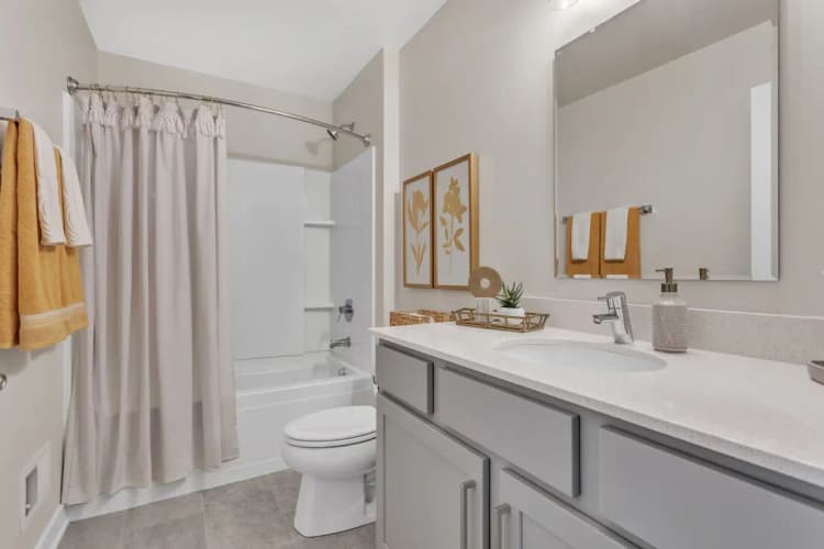 Milwaukee apartments for rent - image - 147848474.jpg
