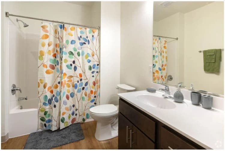 Milwaukee apartments for rent - image - 157683835.jpg