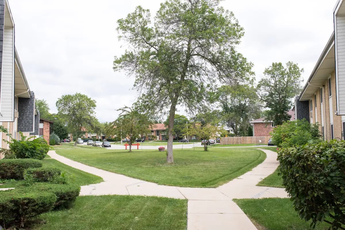 Spruce Court Apartments - Apartment - 4