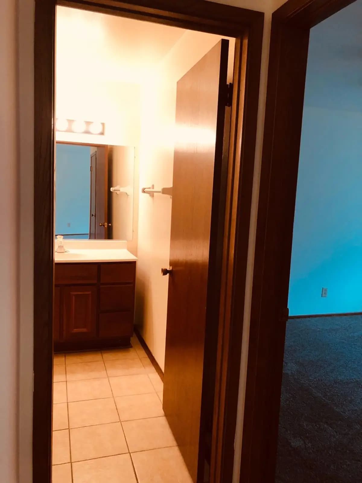 Spruce Court Apartments - Apartment - 16