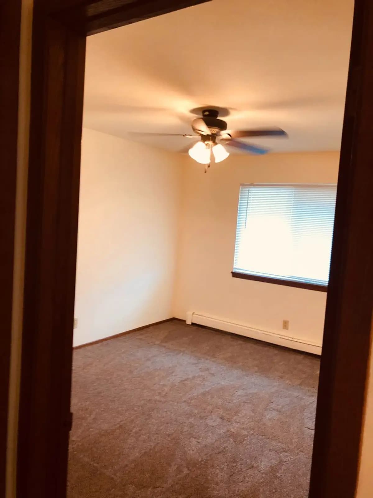 Milwaukee apartments for rent - image - large (8).jpeg