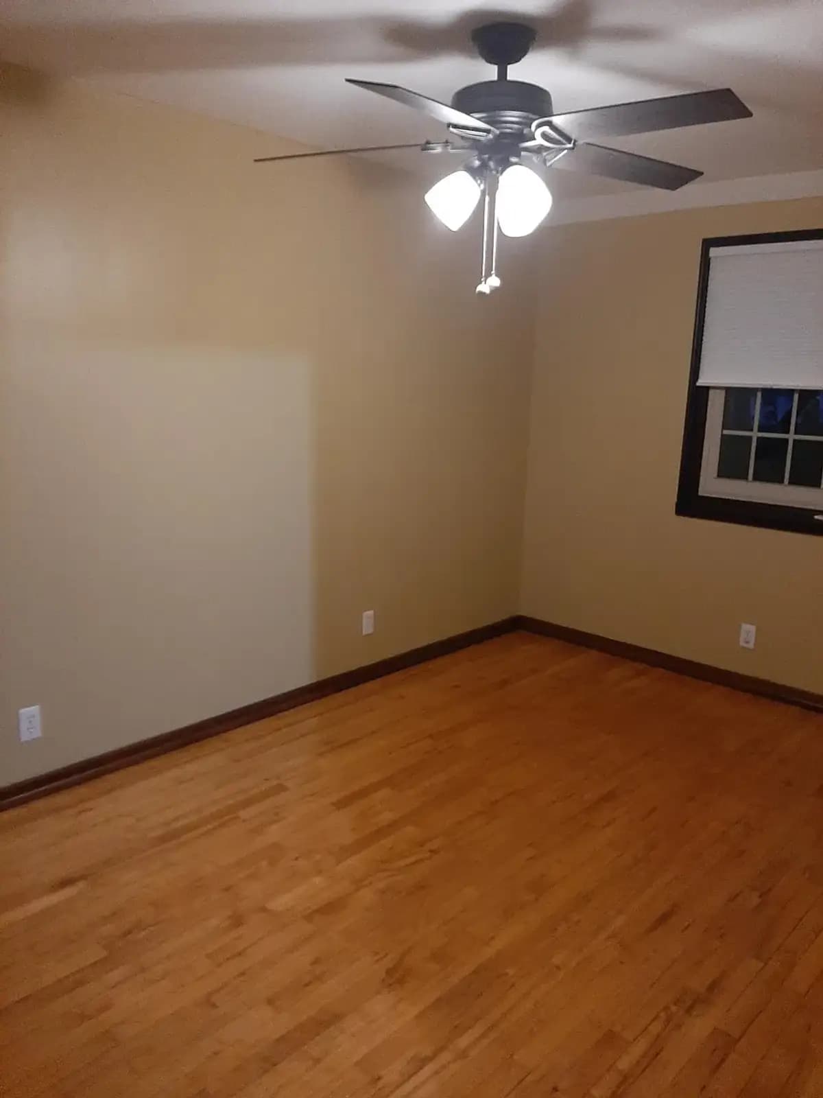 5565 Angle Lane - Apartment - 10