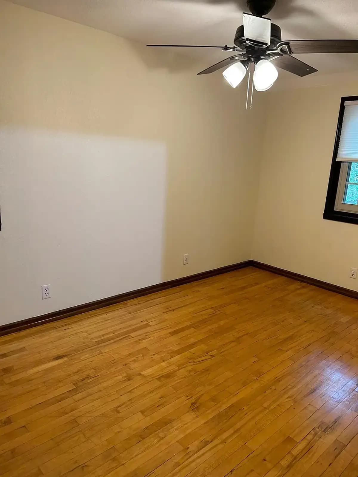 5565 Angle Lane - Apartment - 11