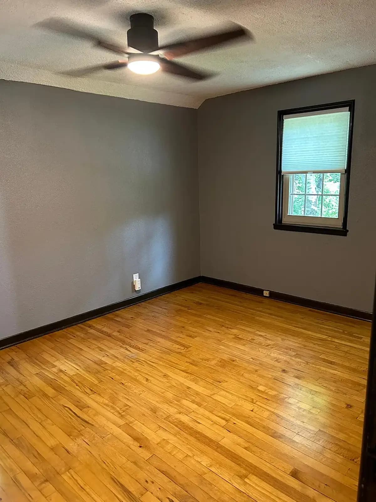 5565 Angle Lane - Apartment - 12